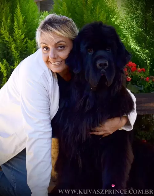Terranova/Newfoundlands