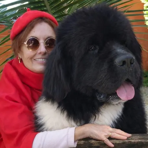Kuvasz e Terranova